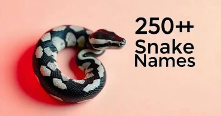 Snake Names